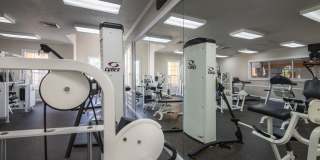 Victoria Place Gallery 87