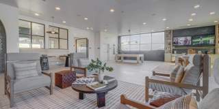 Camber Gallery 10