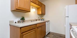 Sutton Hill Gallery 8