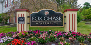 Fox Chase Gallery 1