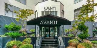 Avanti Gallery 18