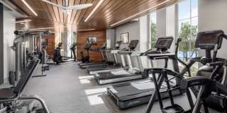 The Octagon The Octagon Gallery 43