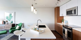 Rooster Gallery 2
