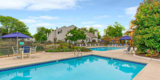 Glen at Bogey Hills Gallery 53