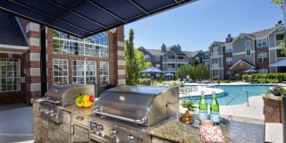 Lake Clearwater Gallery 3