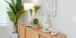 Isla Palmetto Gallery 26