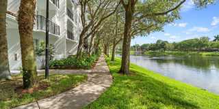 Windsor Coral Springs Gallery 6