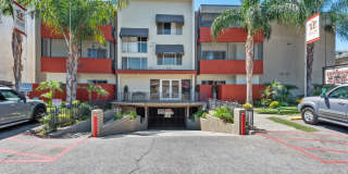 Jaclyn Terrace Gallery 43