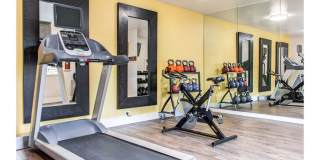 Sofi Dublin Gallery 17