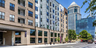 The Crown of Queen City Gallery 19