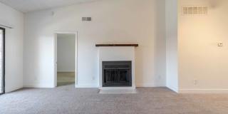 Renaissance Gallery 4