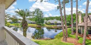 227 CRANES LAKE Drive Gallery 46