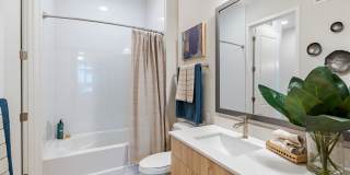 V by Alta Gallery 15