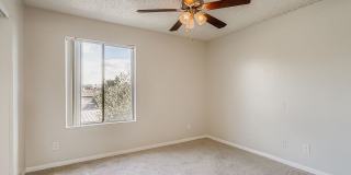 Rise on Cactus Gallery 76