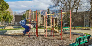 Country Woods Gallery 7