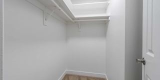 Renaissance Gallery 10