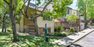 Folsom Ranch Gallery 51