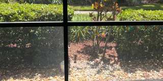 3300 FOX CHASE CIR N, #213, PALM HARBOR, FL 34683 Gallery 9