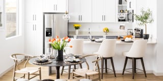 Onyx at Westgate Gallery 2