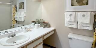 Tanglewood Gallery 32