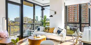 Aster Aster Gallery 23