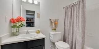 Park at Wintergreen Gallery 20