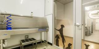 Alloy Sunnyside Gallery 48