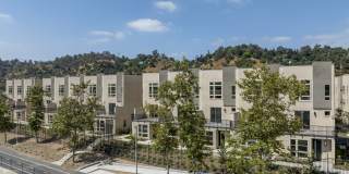 Lilian Frogtown Gallery 36