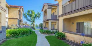 Club Pacifica Gallery 2