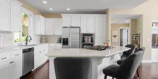Wonderful, bright 4-bdrm/2.5-bath home. Lovely garden, deck views, great location Gallery 12