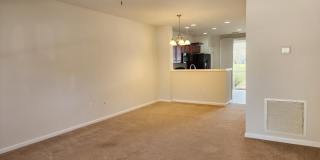 6694 ARCHING BRANCH Circle Gallery 3