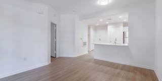 2201 Wilson Gallery 7