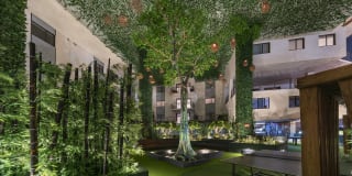 Envy Pompano Beach Gallery 56