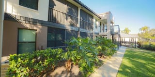 Palms of Clearwater Gallery 53