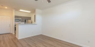 Willow Glen Gallery 44