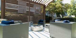 The Atlantic Ashford Gallery 13