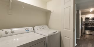 The Madrid Gallery 17