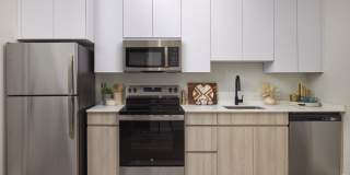 Luxor Lifestyle Apartments Montgomeryville Gallery 21