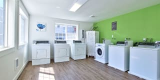 Parc East Gallery 24