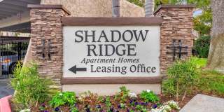 Shadow Ridge Gallery 23
