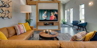 Cypress Gallery 22