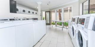 The Terrace Apartments Gallery 8