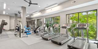 The Standard at Legacy Gallery 34