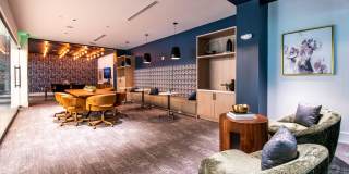 Legacy 36th Gallery 11