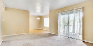 Carrington Court Gallery 5