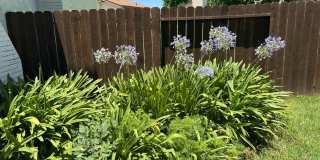 176 Shamrock Court Gallery 19
