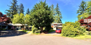Spacious 4BD/3BA Bellevue Home with Private Backyard & Garage Gallery 28