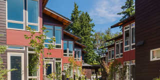Oliver Bainbridge Island Gallery 2