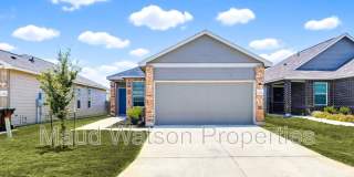11636 MIDNIGHT RAIN Gallery 1