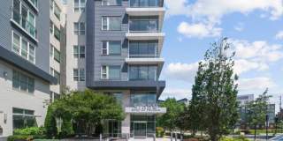 Cirro King of Prussia Gallery 51